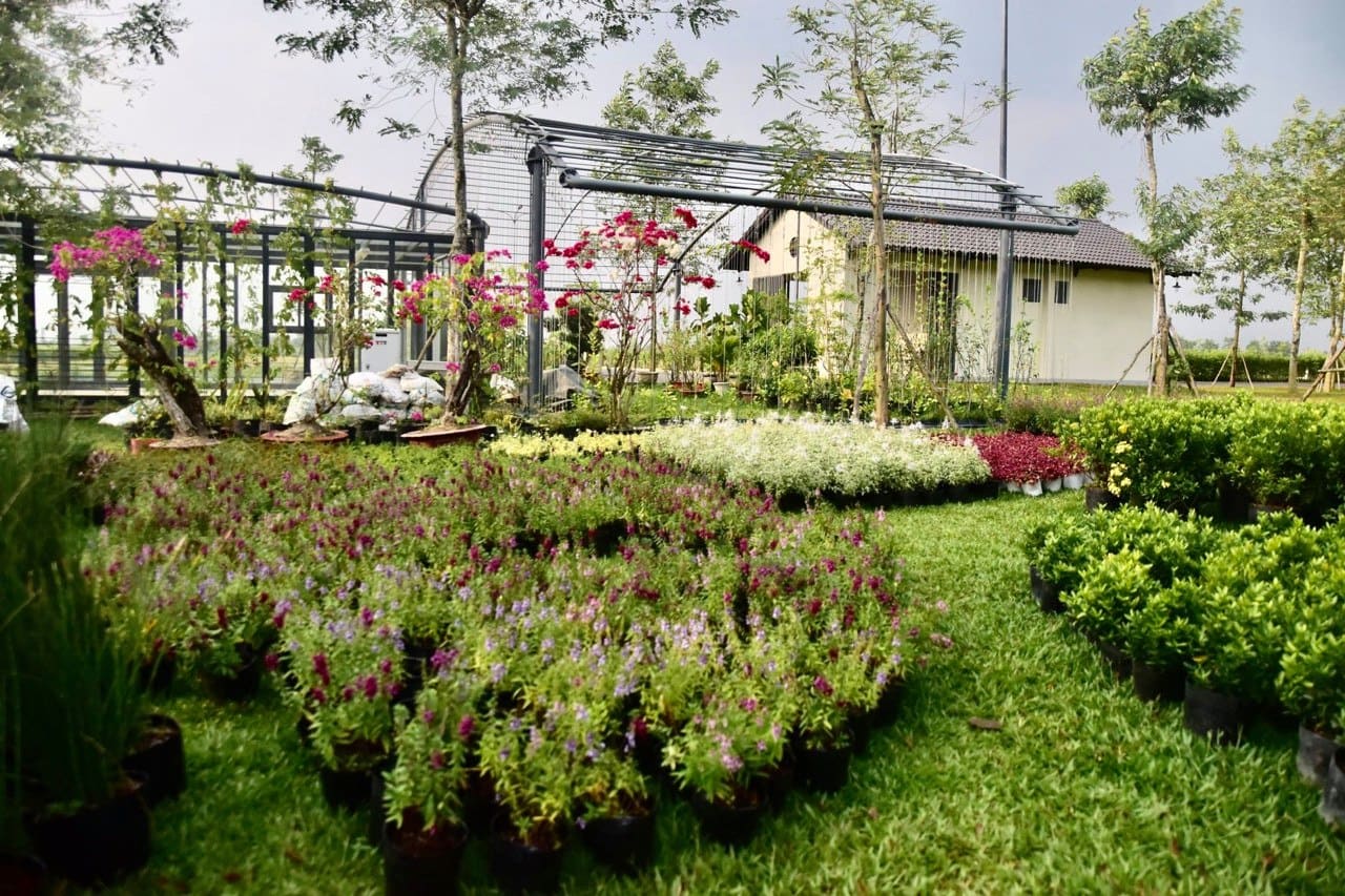 Vườn ươm hoa tại Sala Garden