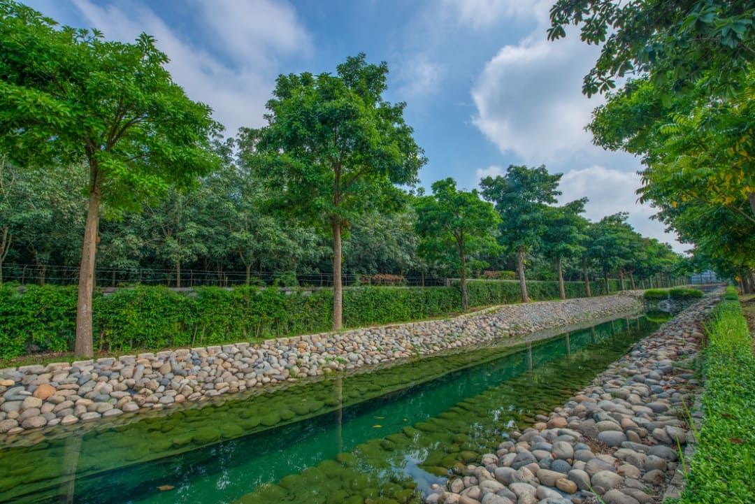 Phong cảnh Suối Tâm Linh