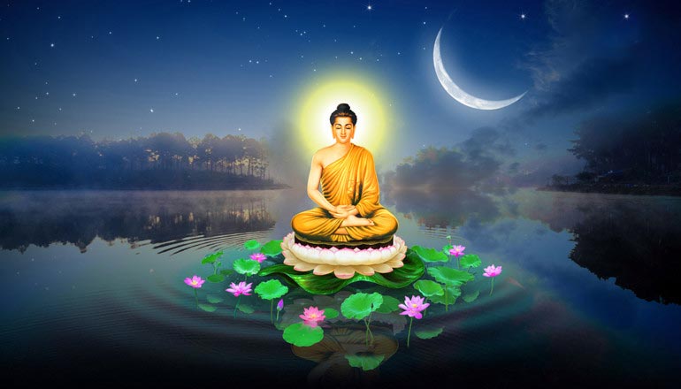 Hoa sen hành trình giác ngộ