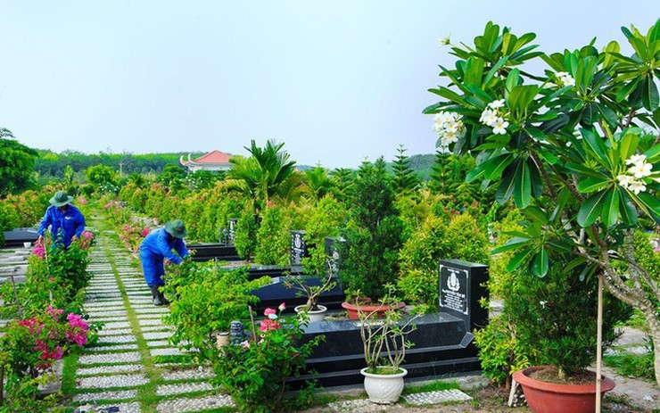 Loại cây phong thủy trồng trên mộ